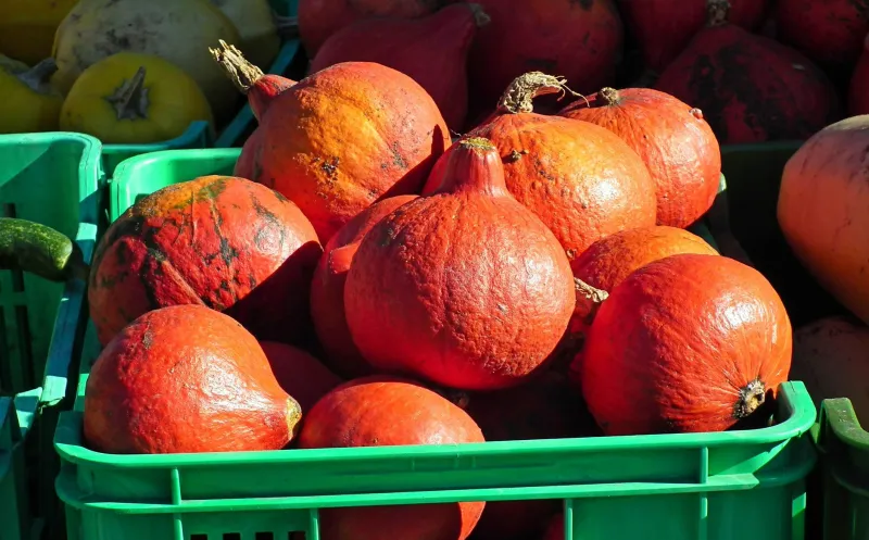 Eating with the Seasons: Bringing Ayurvedic Wisdom to the British Table