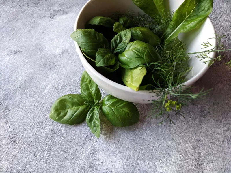 Spring, Cleansing, and Common Sense: The Ayurvedic Case Against Extreme Detox Culture